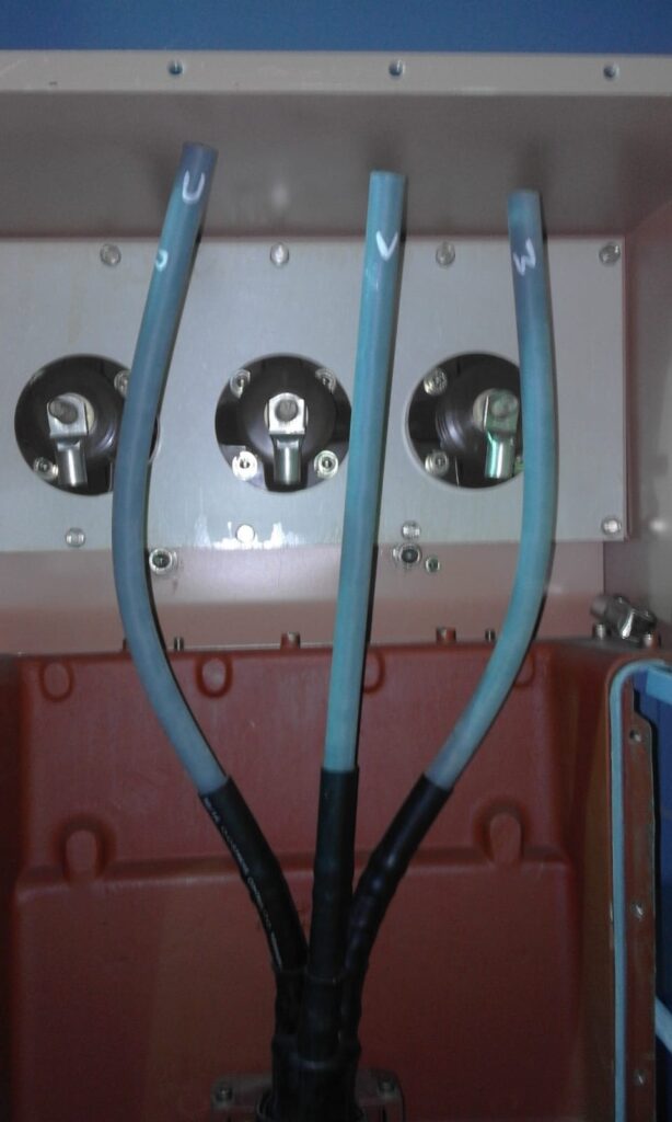 WhatsApp Image 2025-05-16 at 10.41.07 AM