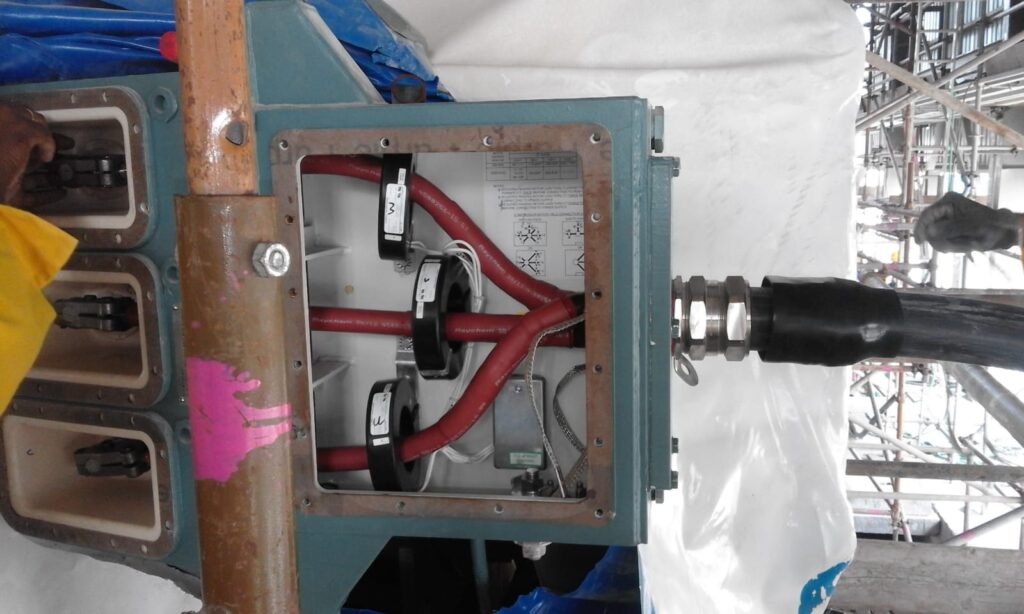 WhatsApp Image 2025-05-16 at 10.41.08 AM